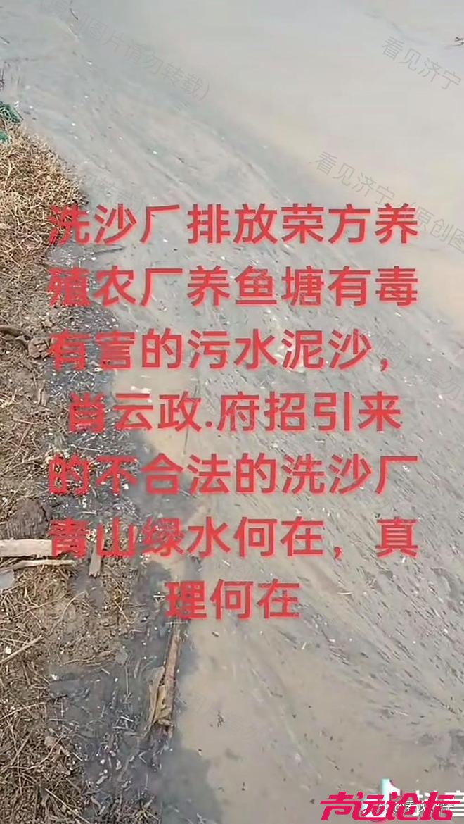 济宁市金乡县霄云镇洗沙场排污引关注，环保治理刻不容缓-6.jpg