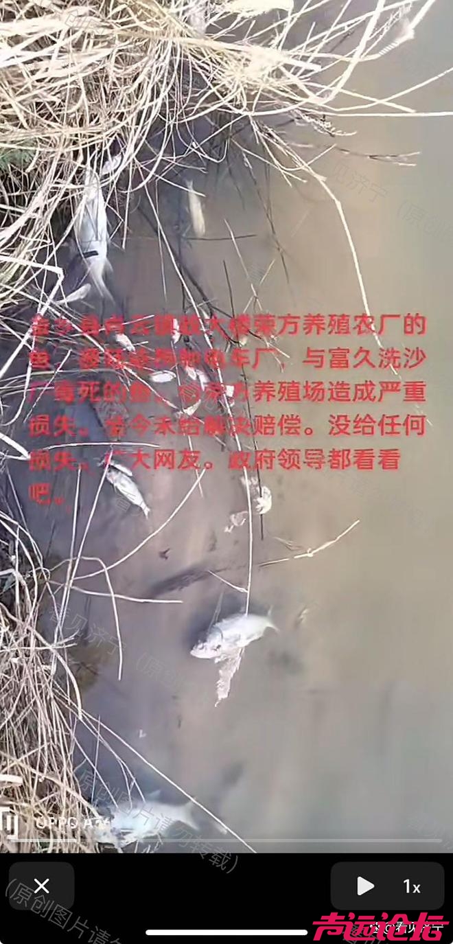 济宁市金乡县霄云镇洗沙场排污引关注，环保治理刻不容缓-9.jpg