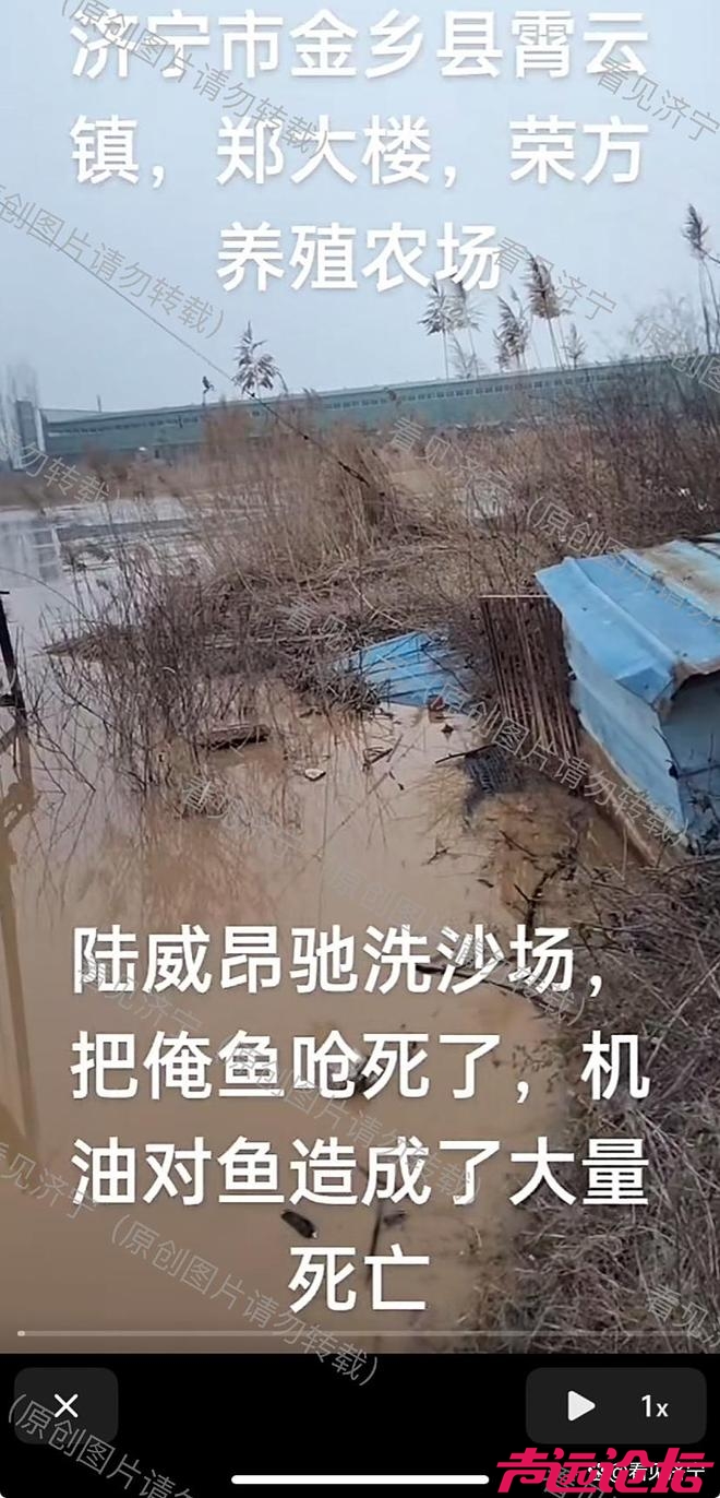 济宁市金乡县霄云镇洗沙场排污引关注，环保治理刻不容缓-14.jpg