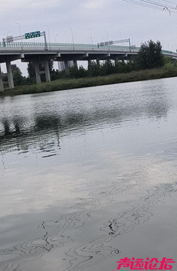 从“未发现污染”到“销号式检查”：泗河治理岂能“走过场”？-1.jpg