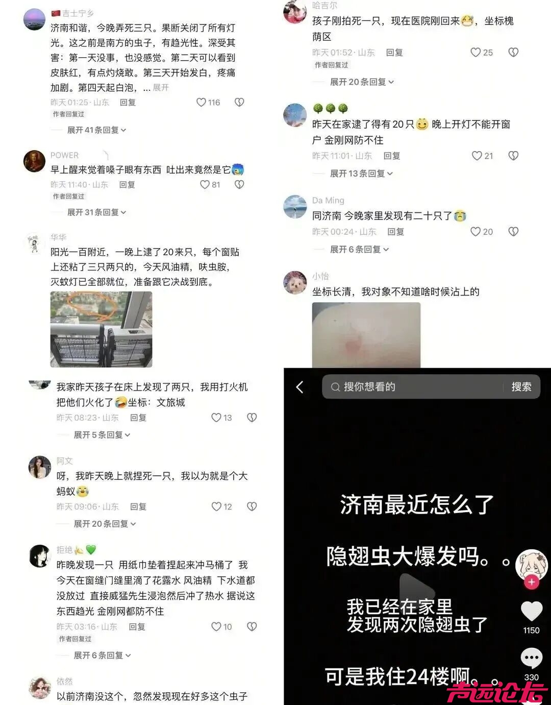 山东多地现“飞行的硫酸”隐翅虫！医生紧急提醒：千万别拍-2.jpg