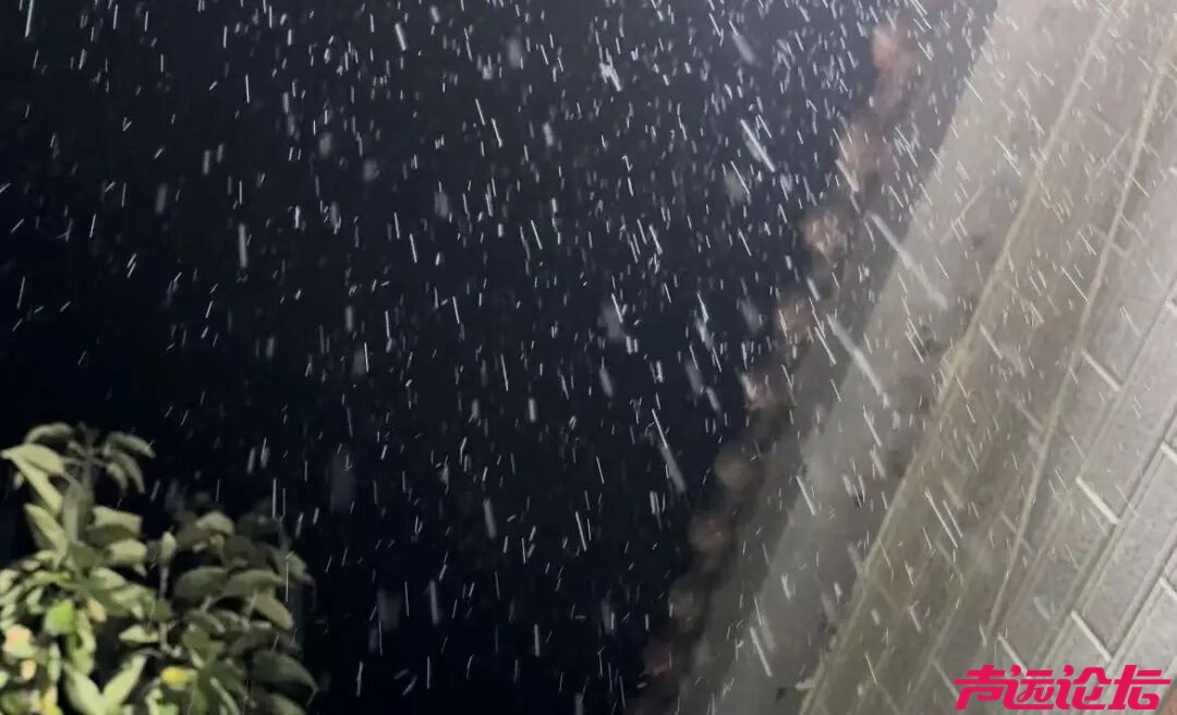 昨晚，山东下雪了？-1.jpg