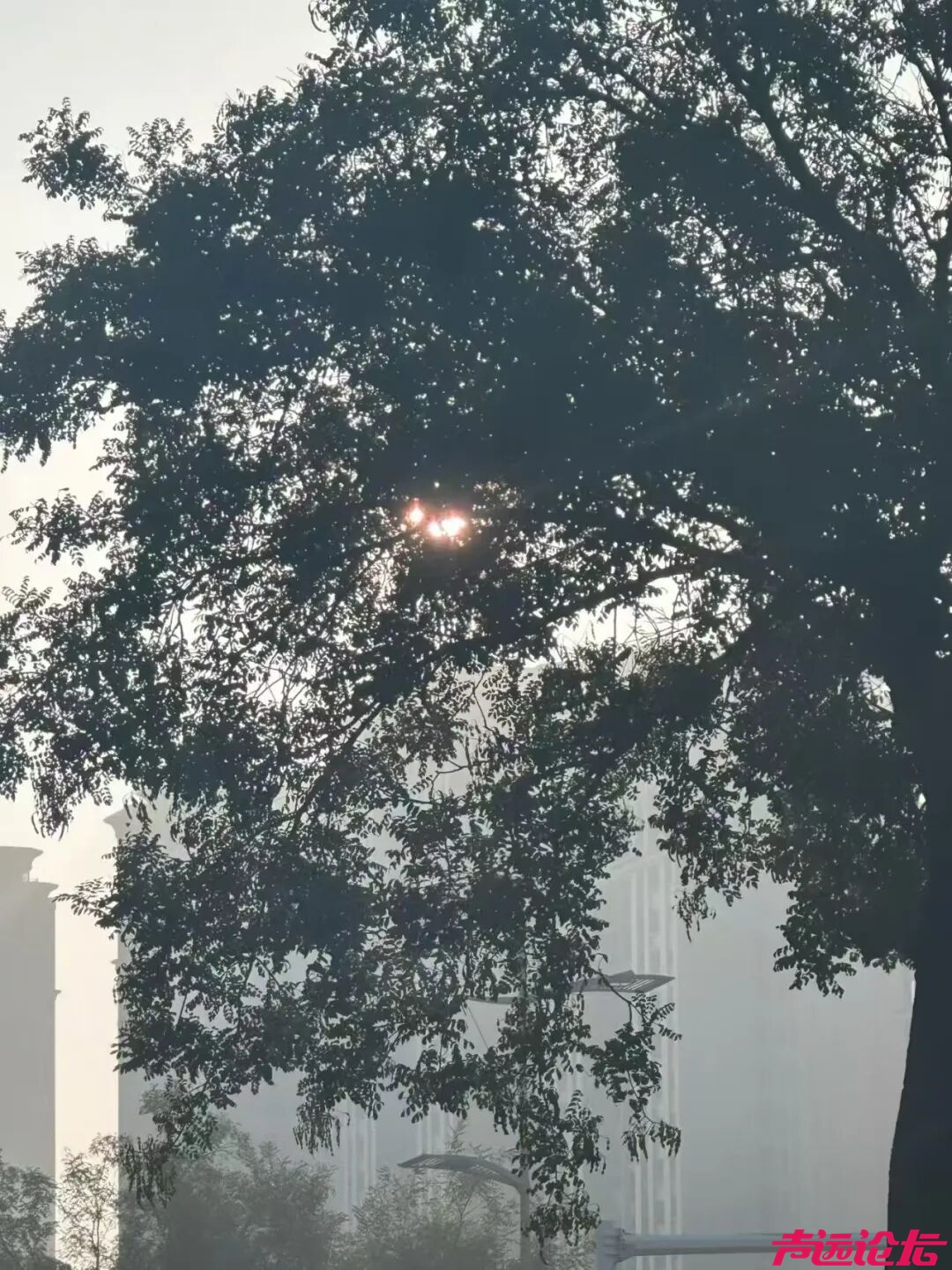 今天，济宁人的朋友圈刷屏了！下班第一件事别忘了！-3.jpg