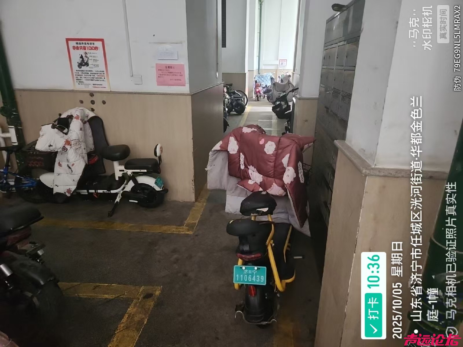 8a445c80d22e6878051f215e6ec4ce78.jpg
