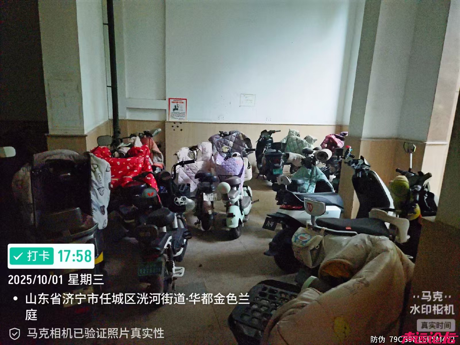 609d9b717a04fb3ded85990751095cd3.jpg