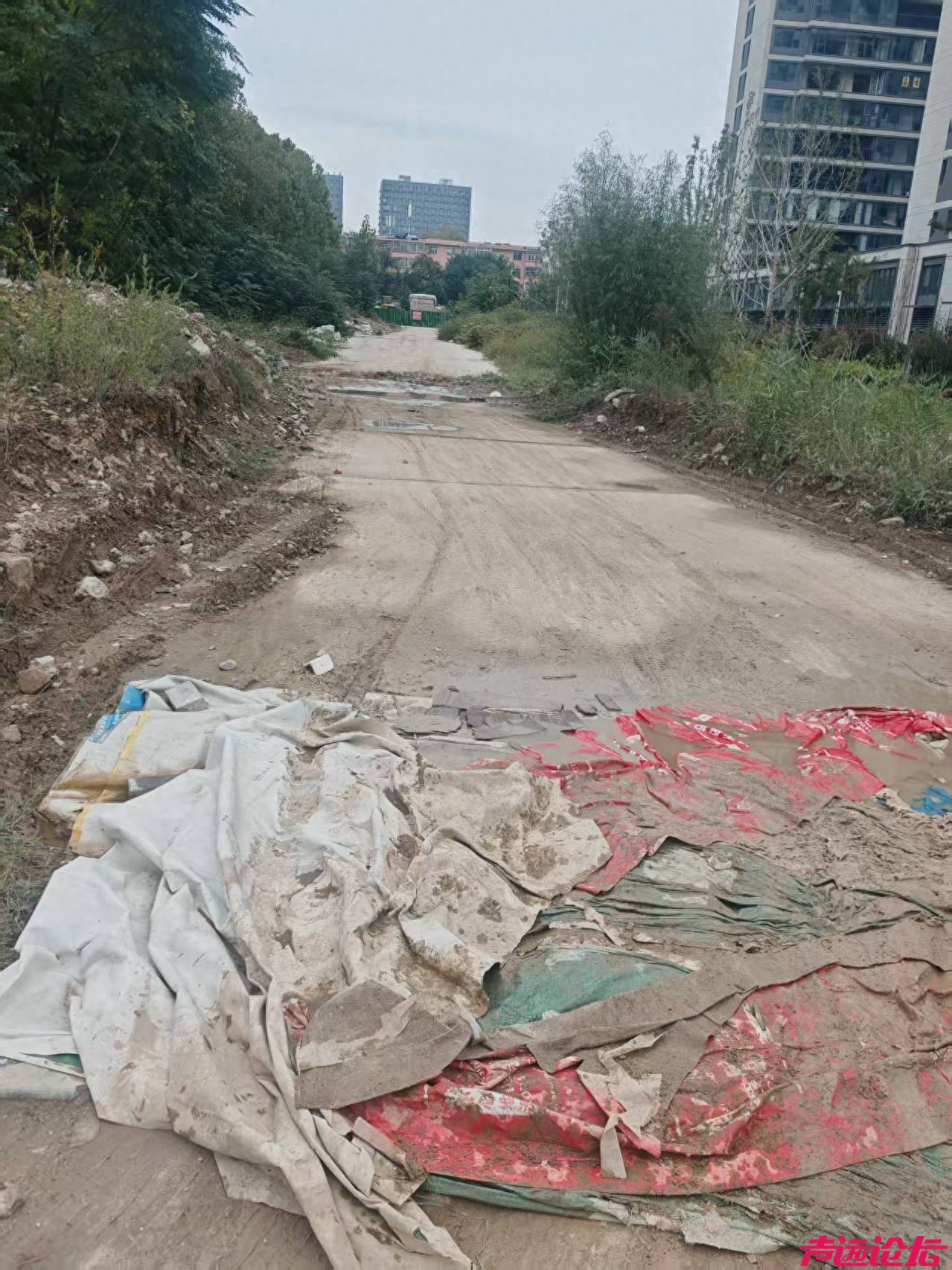 交房不等于“通路”！济宁一小区业主喊话住建局：别让承诺成空谈-1.jpg