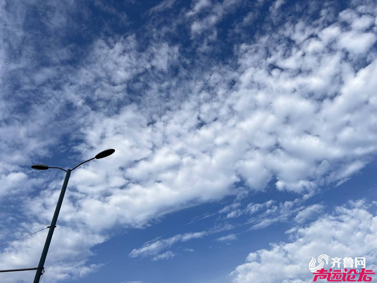 30日、31日有小雨！山东未来一周多晴好天气 最高温再上20℃-1.jpg