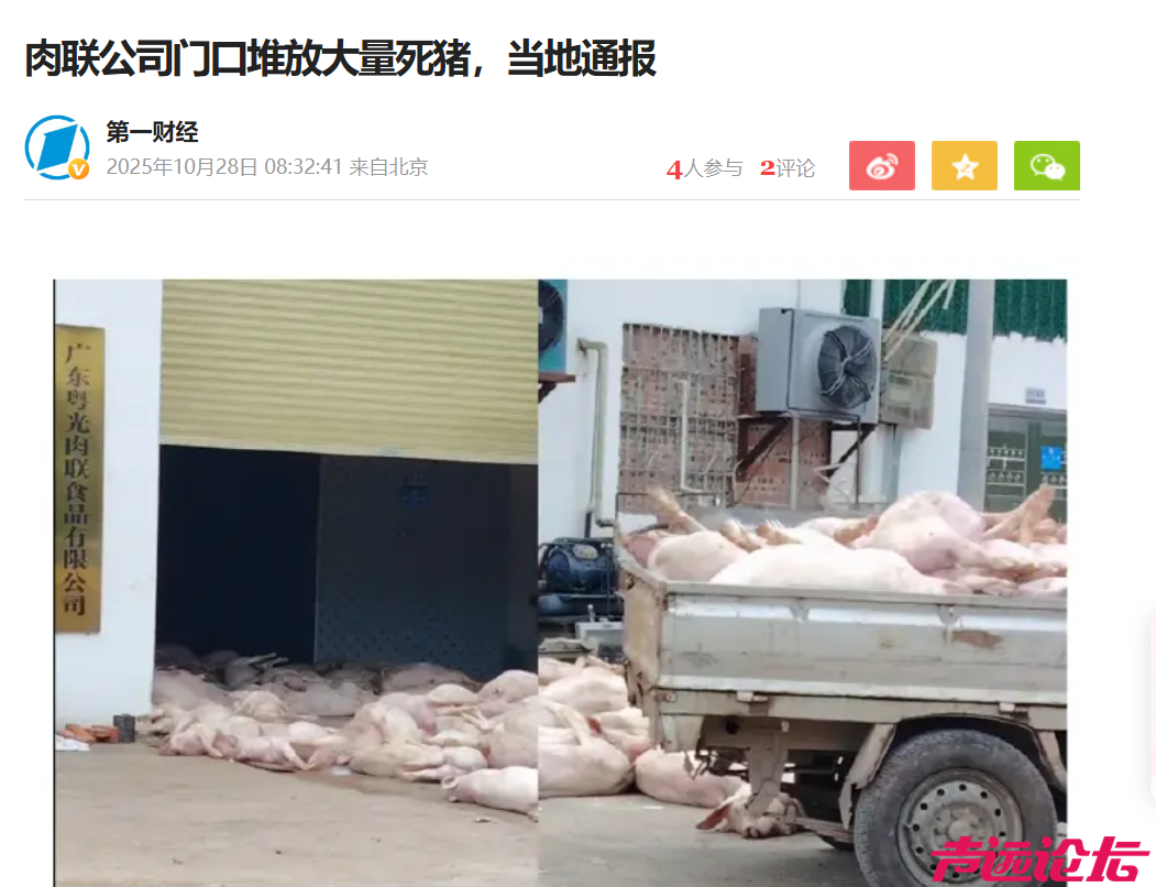 微信图片_20251028103552_6069_13.png