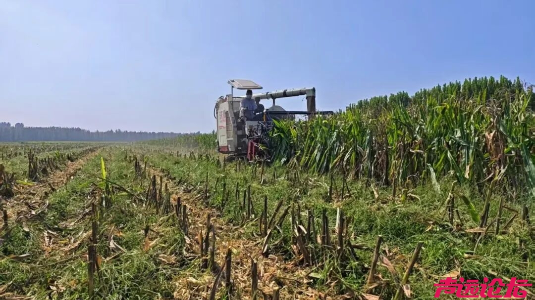 济宁供销系统：全力守护“三秋”粮食安全，以实际行动守护农民丰收成果！-1.jpg