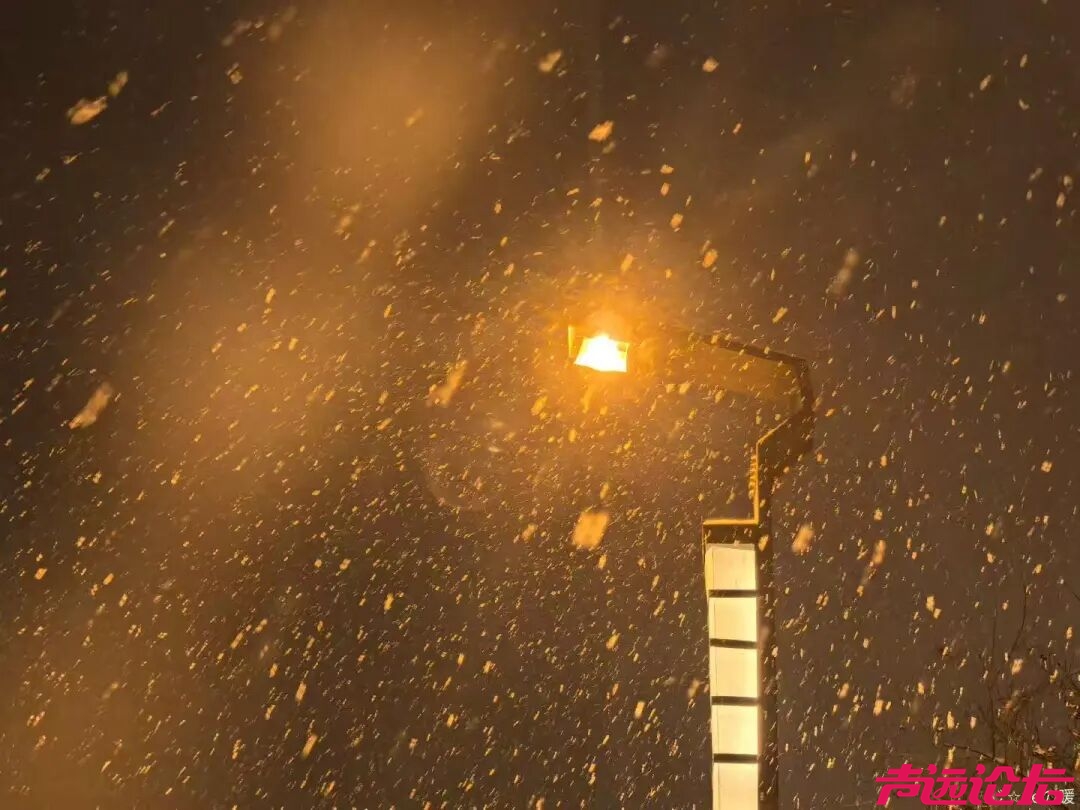 终于等到你！第一波济宁雪景大片来了！-9.jpg