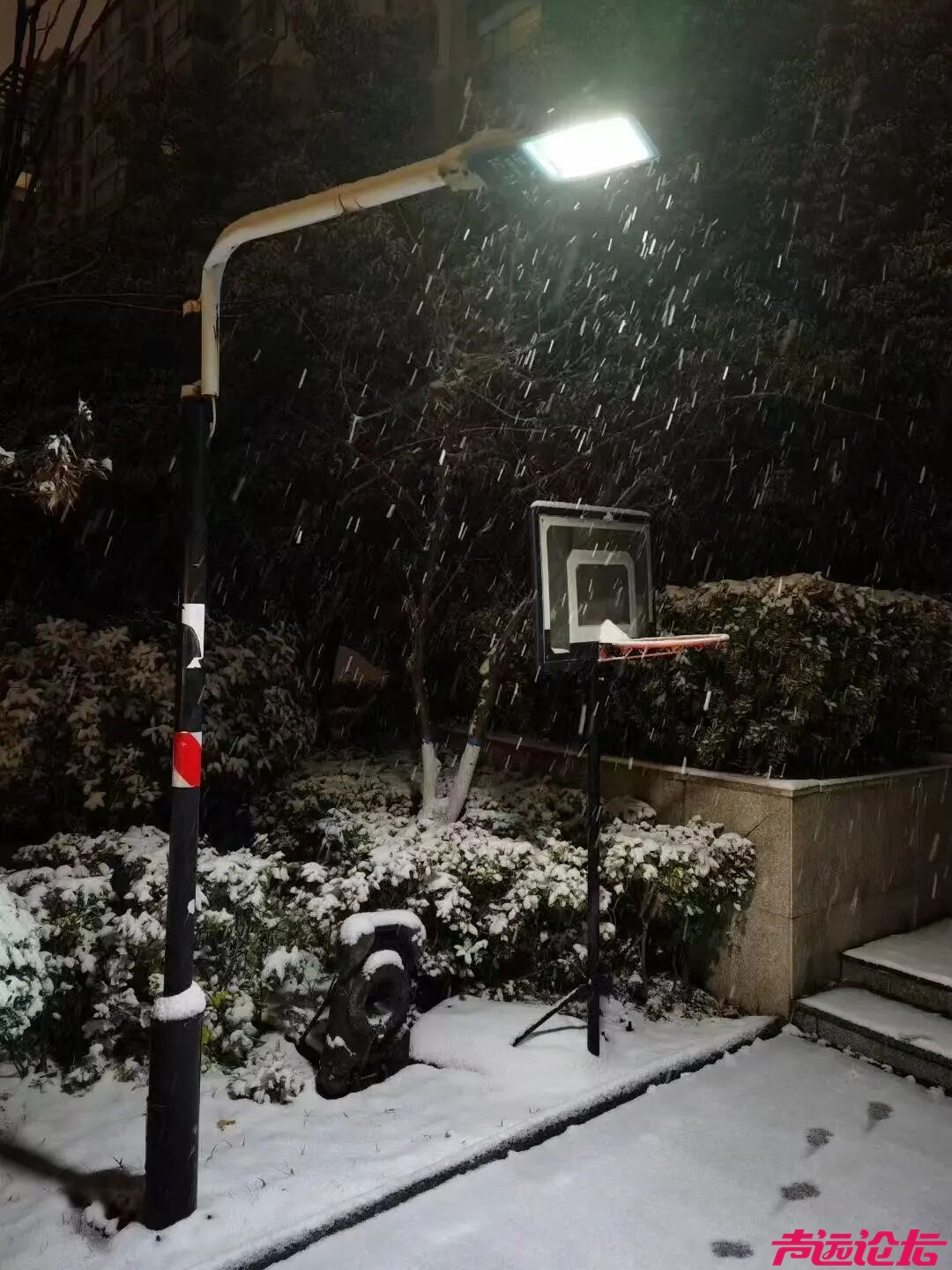 终于等到你！第一波济宁雪景大片来了！-12.jpg