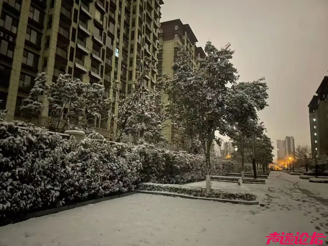 终于等到你！第一波济宁雪景大片来了！-10.jpg