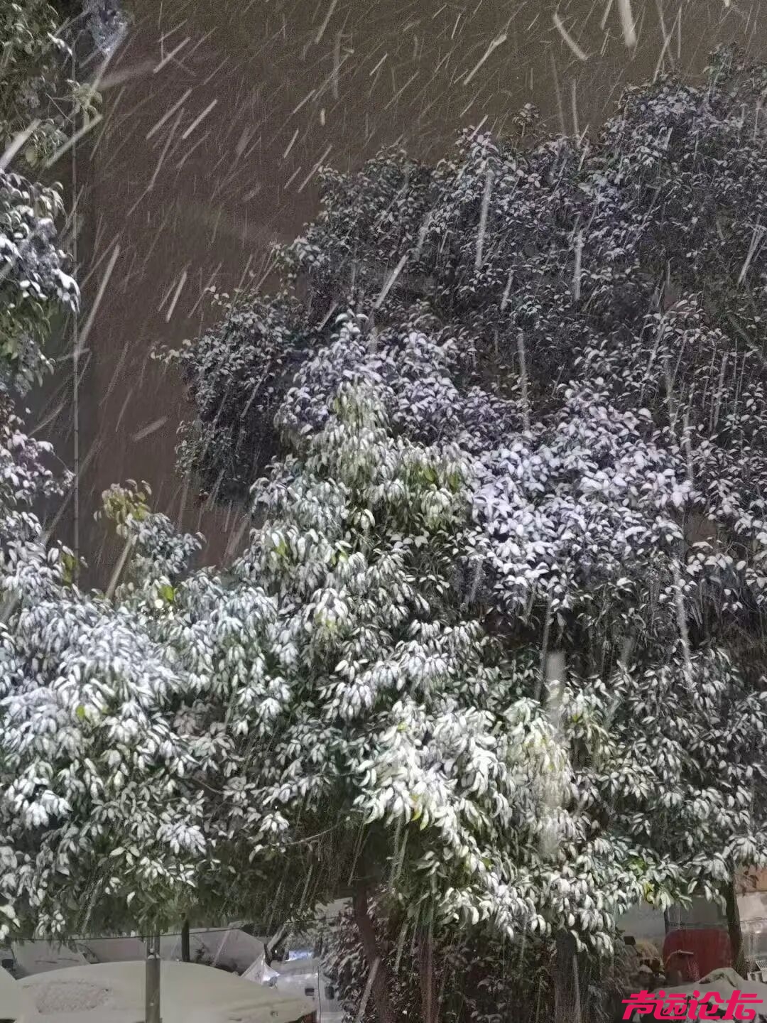 终于等到你！第一波济宁雪景大片来了！-17.jpg