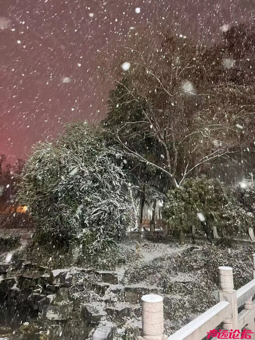 终于等到你！第一波济宁雪景大片来了！-19.jpg