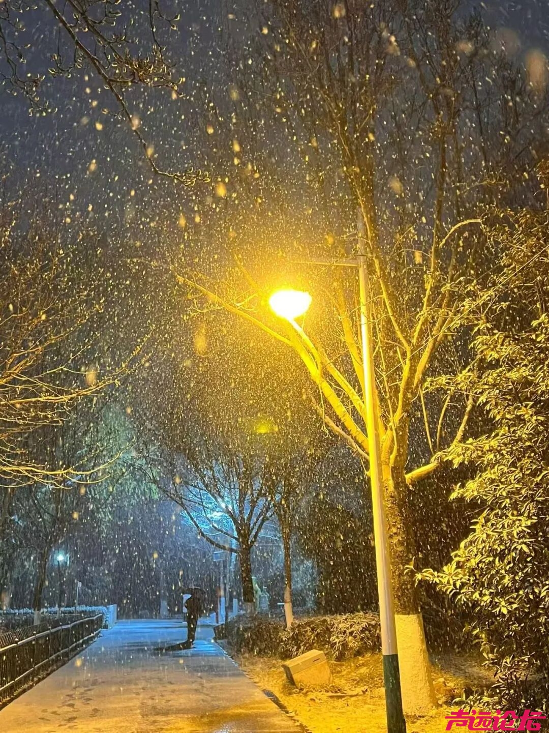 终于等到你！第一波济宁雪景大片来了！-21.jpg