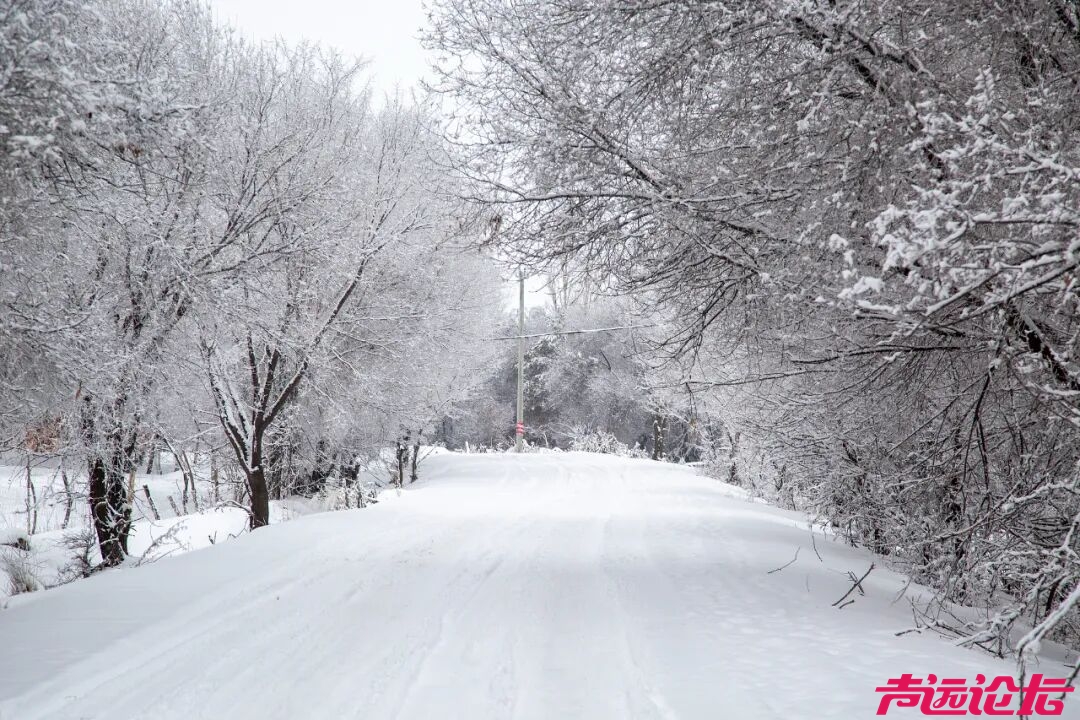 今起，大҈ 范҈ 围҈ 雨҈ 雪҈ 来҈ 袭҈ ！-2.jpg