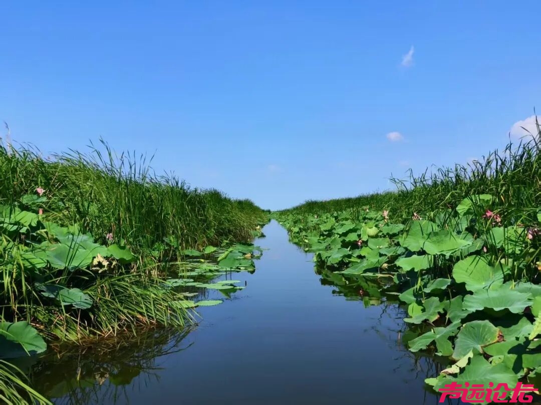 济宁文旅再添新名片！微山湖渔家水街景区成功获评国家4A级旅游景区-3.jpg