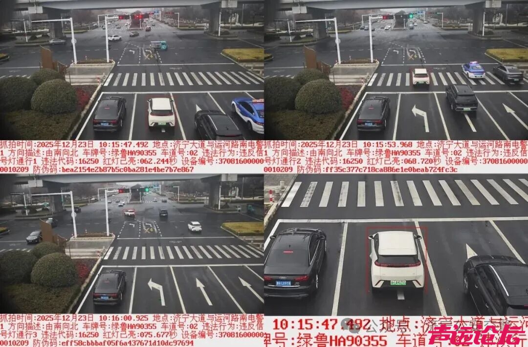 最新曝光！看看谁又上镜了！-4.jpg