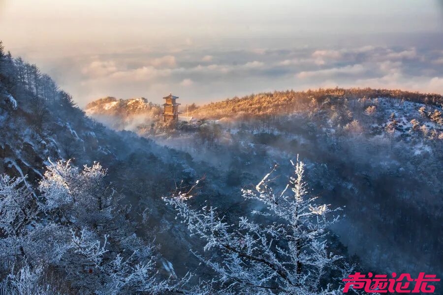 雪后泰山 仙境再现-3.jpg