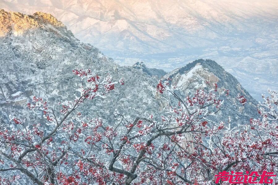 雪后泰山 仙境再现-21.jpg