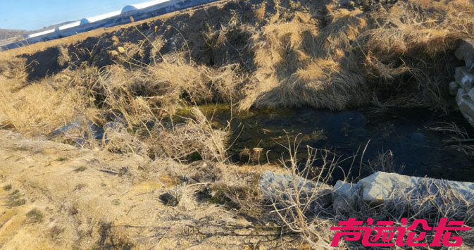 ScreenShot_2025-12-30_105419_730.png