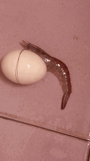 20260107102929front1_0_632061_FpP-G21ZnnzHlpESRTfkf0tlAU_S.gif