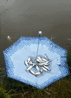 20260107103010front1_0_632061_Fu2uOn0q-_HlGnoYcvAAcxYOP31J.gif