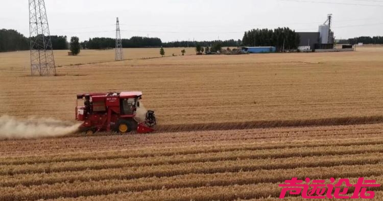 开局“十五五” 奋斗正当时丨乡村振兴，济宁的底气在哪里？-2.jpg