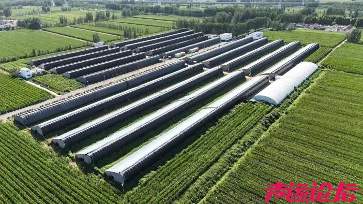 开局“十五五” 奋斗正当时丨乡村振兴，济宁的底气在哪里？-4.jpg