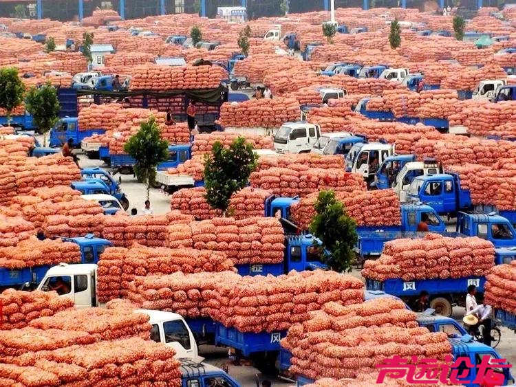 开局“十五五” 奋斗正当时丨乡村振兴，济宁的底气在哪里？-6.jpg