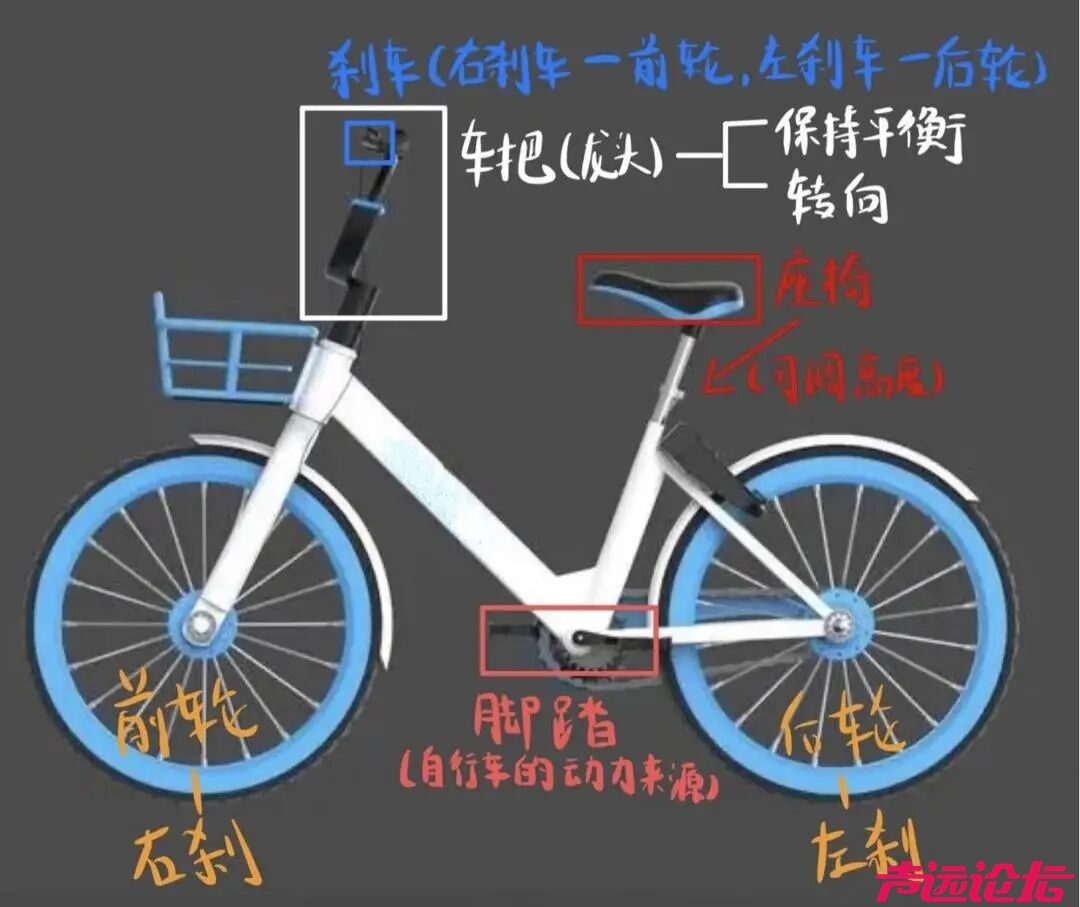 研究生教成人骑车2年赚27万元 当事人：市场需求大，成人自行车教学”新兴行业！-4.jpg