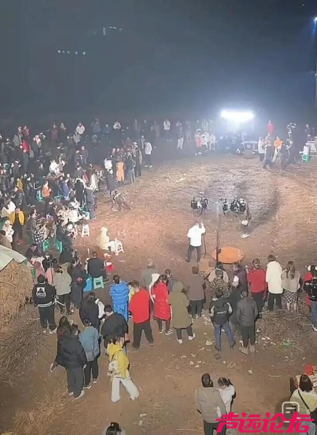 女子不会杀猪网上求助! 上千网友驱车来帮忙，10万人在线围观-3.jpg