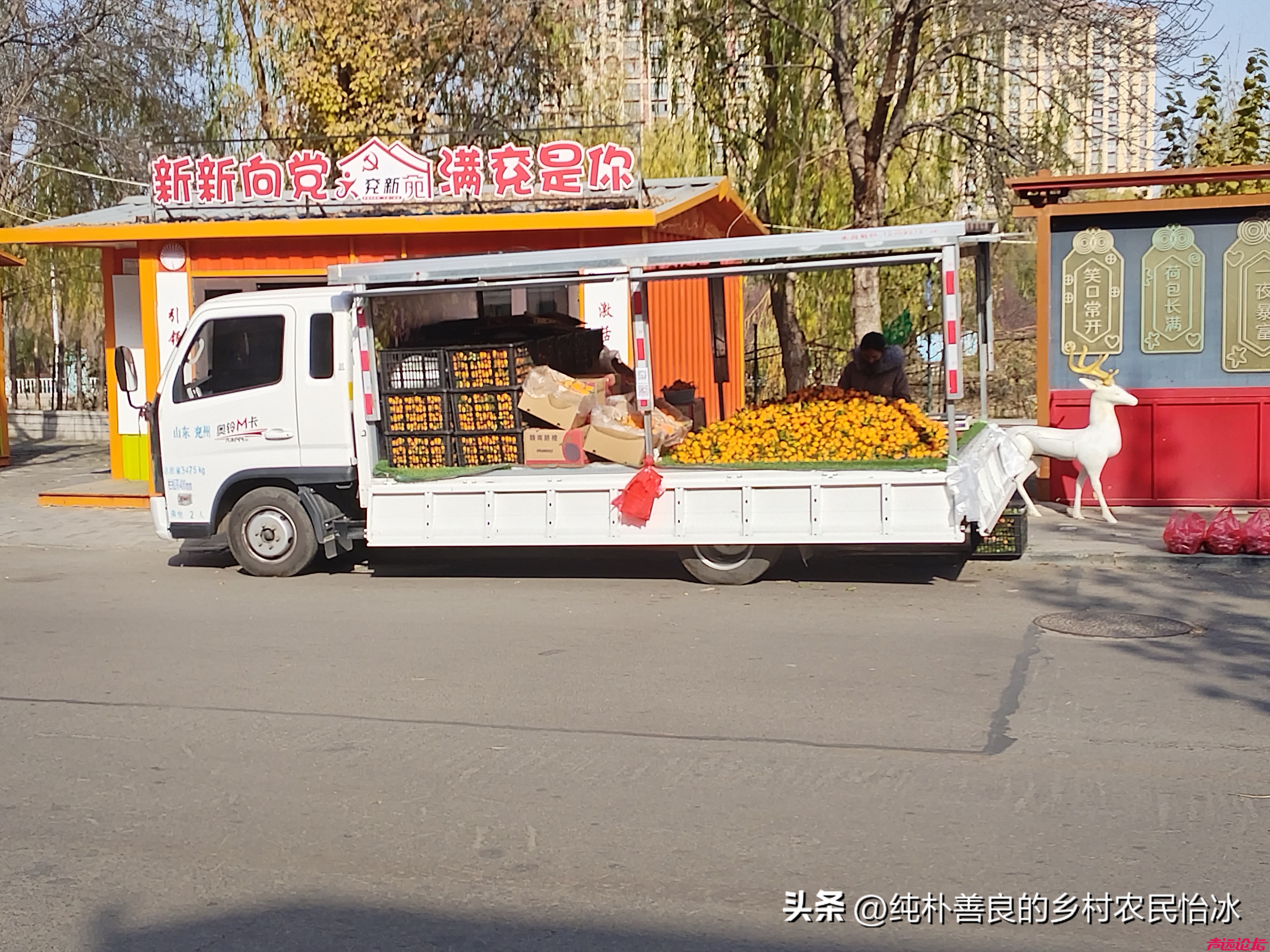 山东济宁兖州东关大街，蔬菜价格，你看这些价格，不贵，可以的！-7.jpg