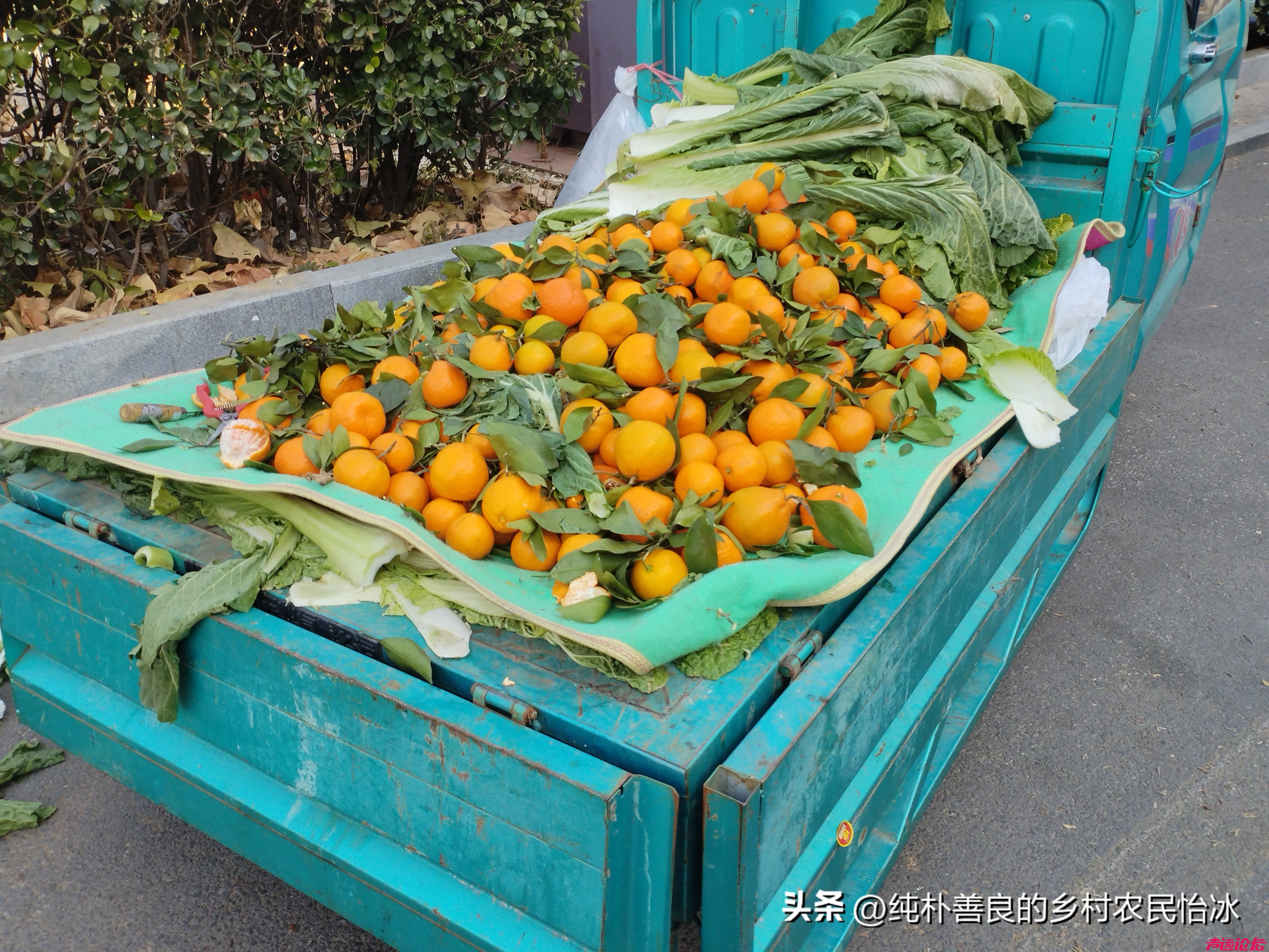 山东济宁兖州东关大街，蔬菜价格，你看这些价格，不贵，可以的！-8.jpg