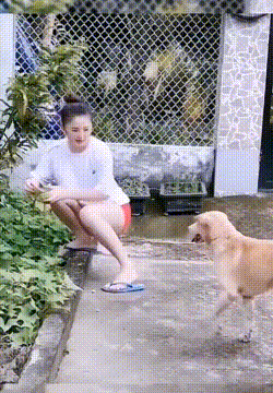 20260117101628front1_0_632061_lrweIk2ajzc5l9oxMU_ZNEtPzkaM.gif