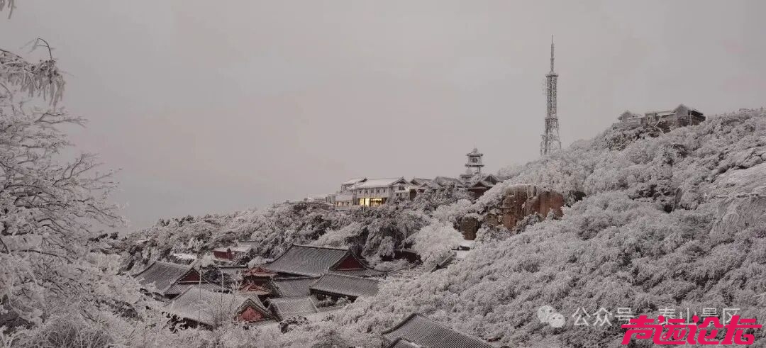 诗意满山间，泰山雾凇雪凇正当时-1.jpg