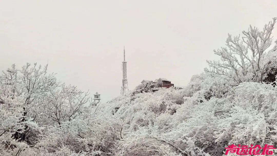 诗意满山间，泰山雾凇雪凇正当时-2.jpg