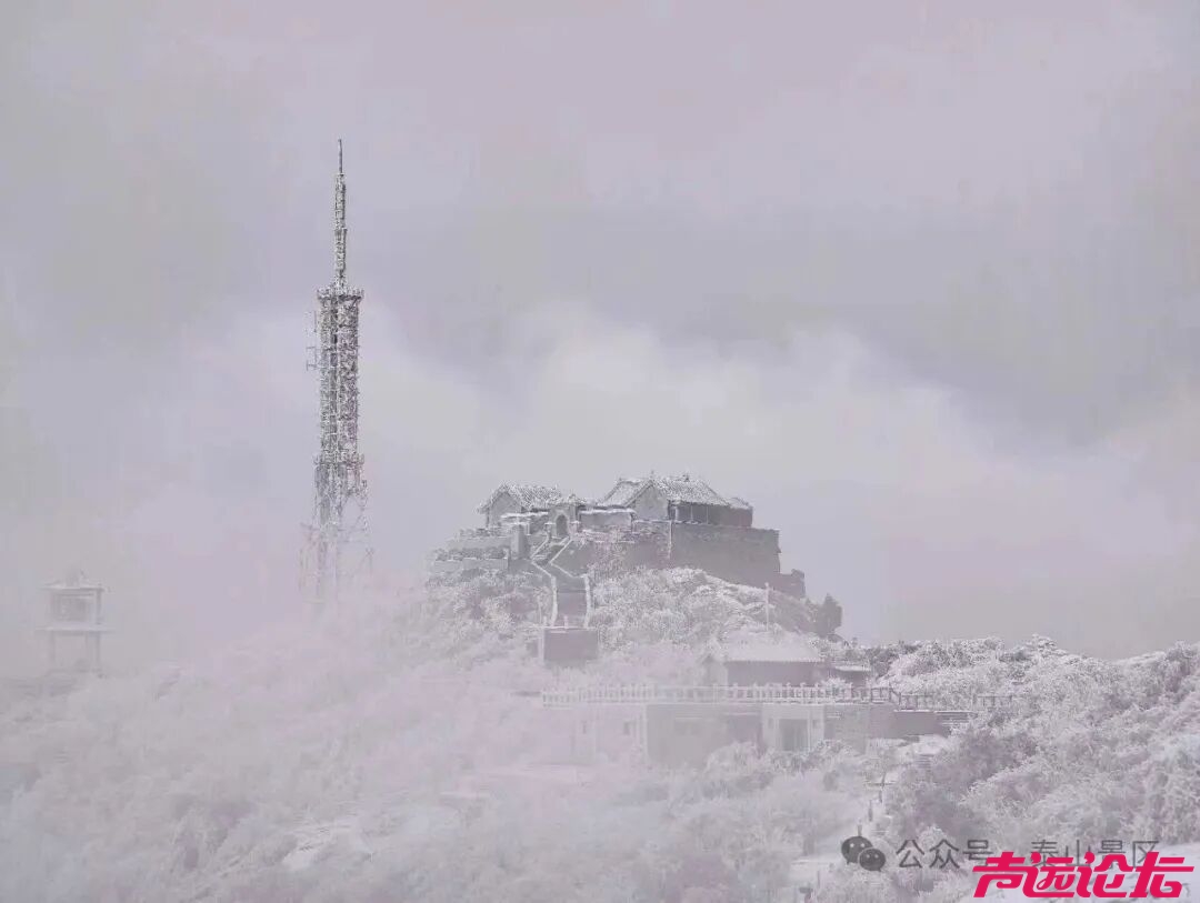 诗意满山间，泰山雾凇雪凇正当时-3.jpg