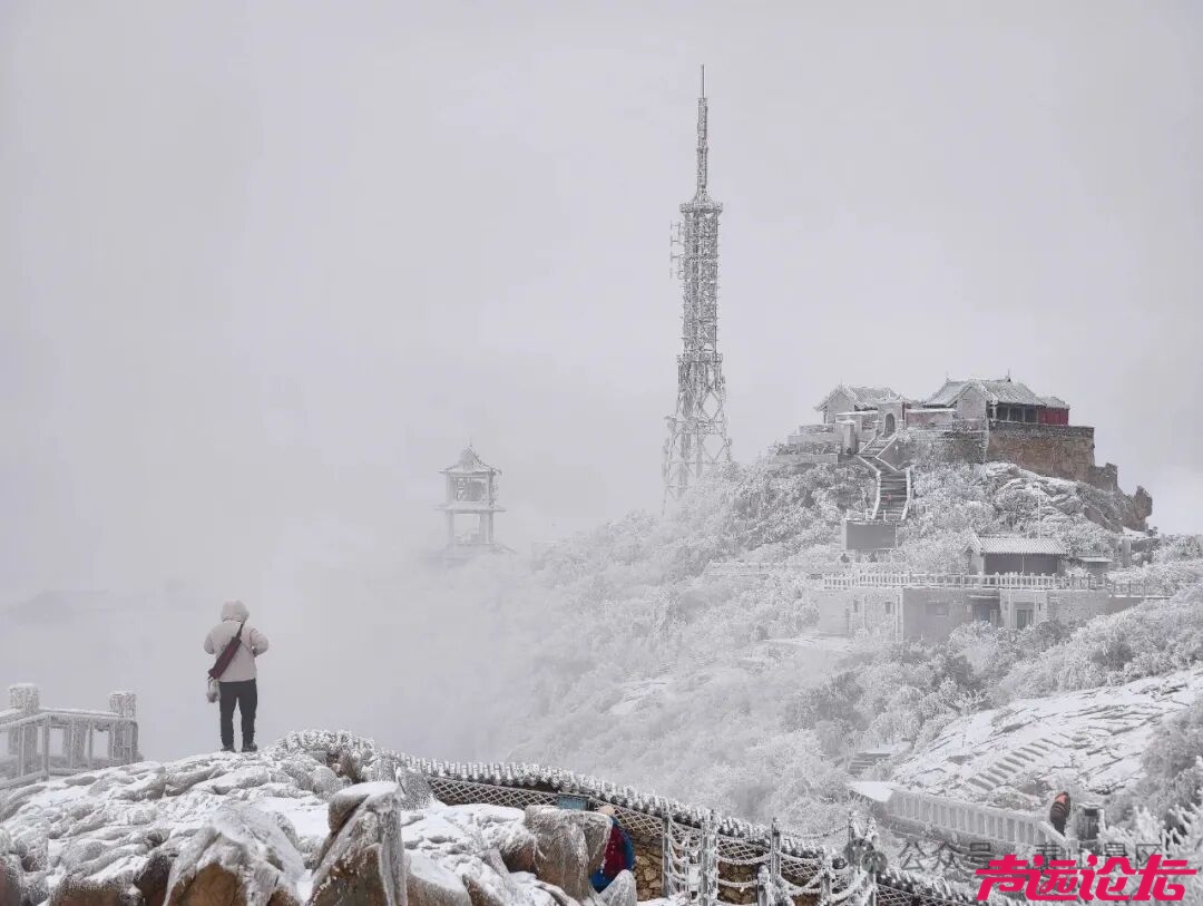 诗意满山间，泰山雾凇雪凇正当时-4.jpg
