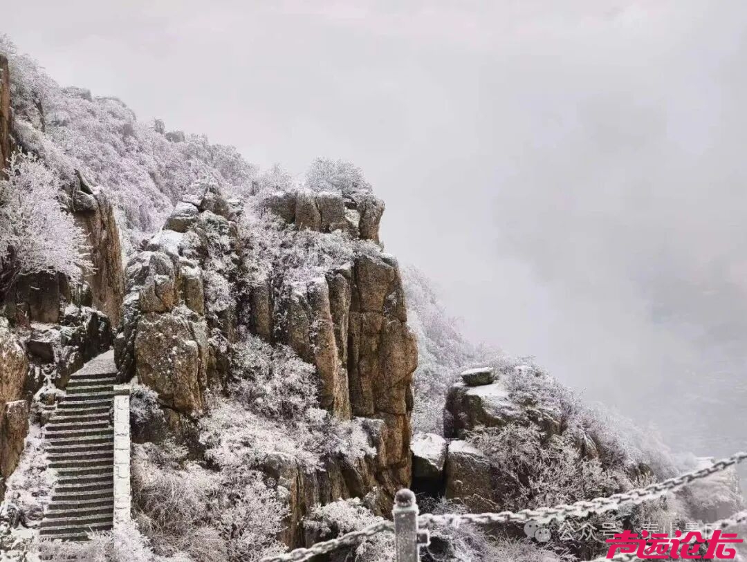 诗意满山间，泰山雾凇雪凇正当时-5.jpg