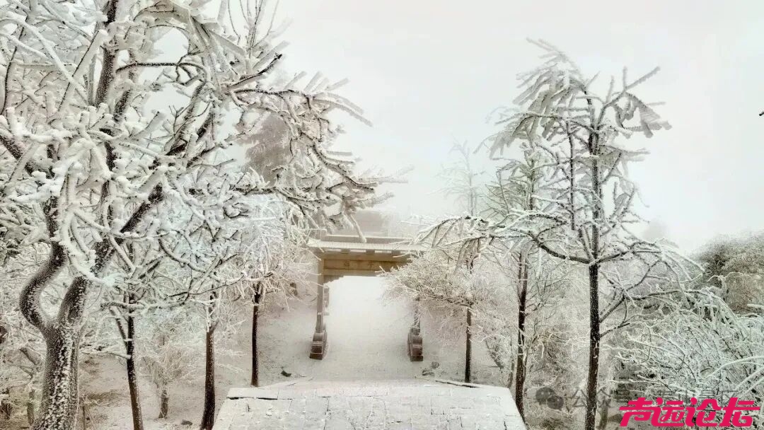 诗意满山间，泰山雾凇雪凇正当时-6.jpg