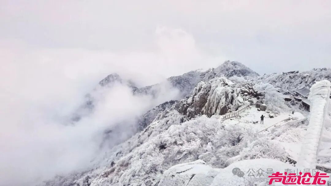 诗意满山间，泰山雾凇雪凇正当时-7.jpg