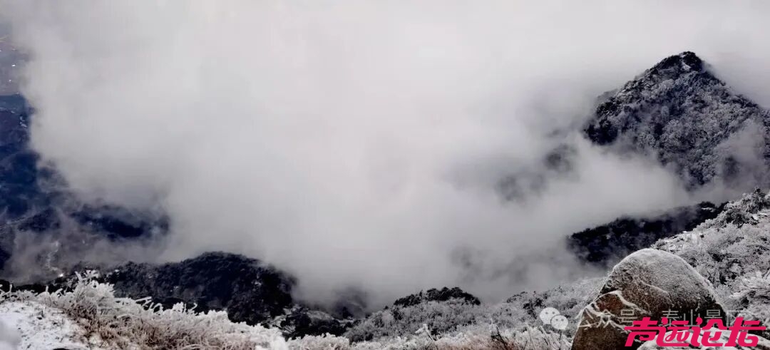 诗意满山间，泰山雾凇雪凇正当时-8.jpg
