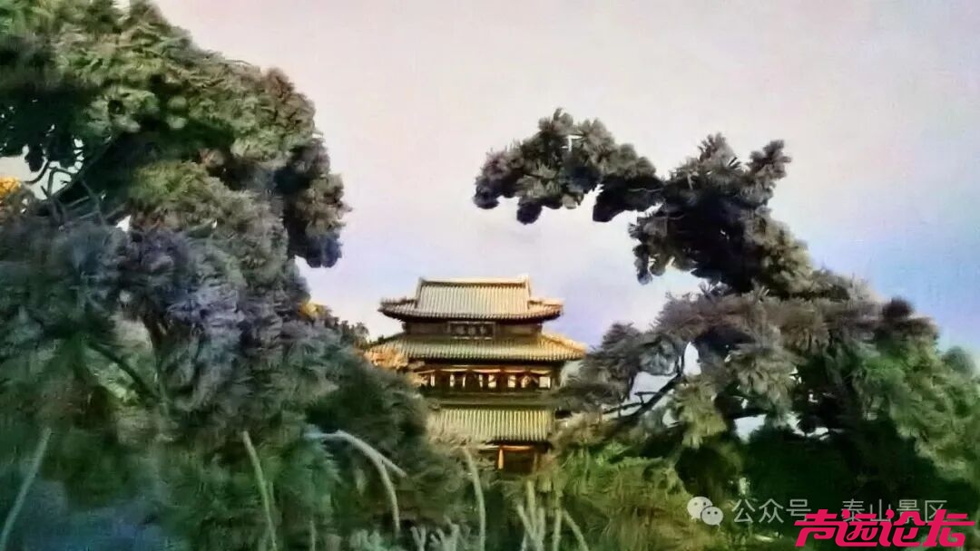 诗意满山间，泰山雾凇雪凇正当时-10.jpg