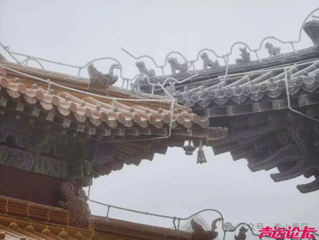诗意满山间，泰山雾凇雪凇正当时-11.jpg