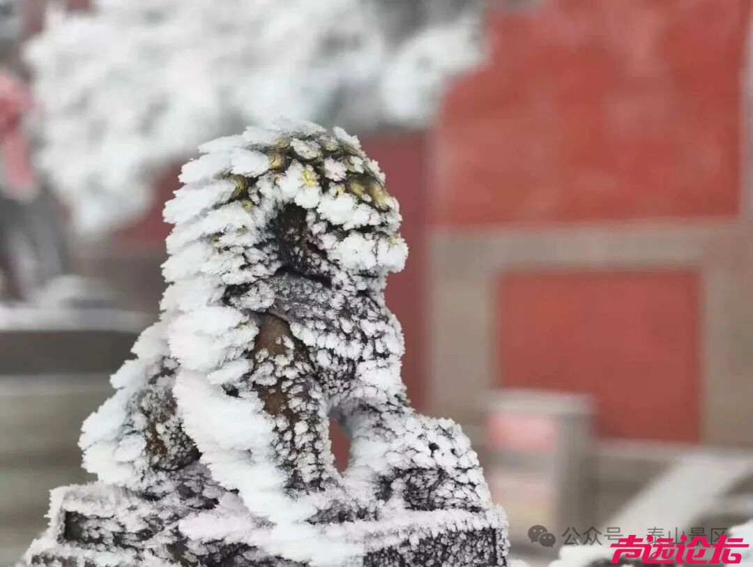 诗意满山间，泰山雾凇雪凇正当时-13.jpg