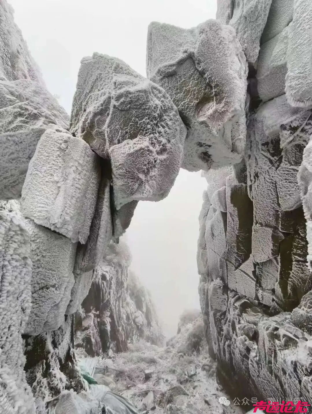诗意满山间，泰山雾凇雪凇正当时-17.jpg