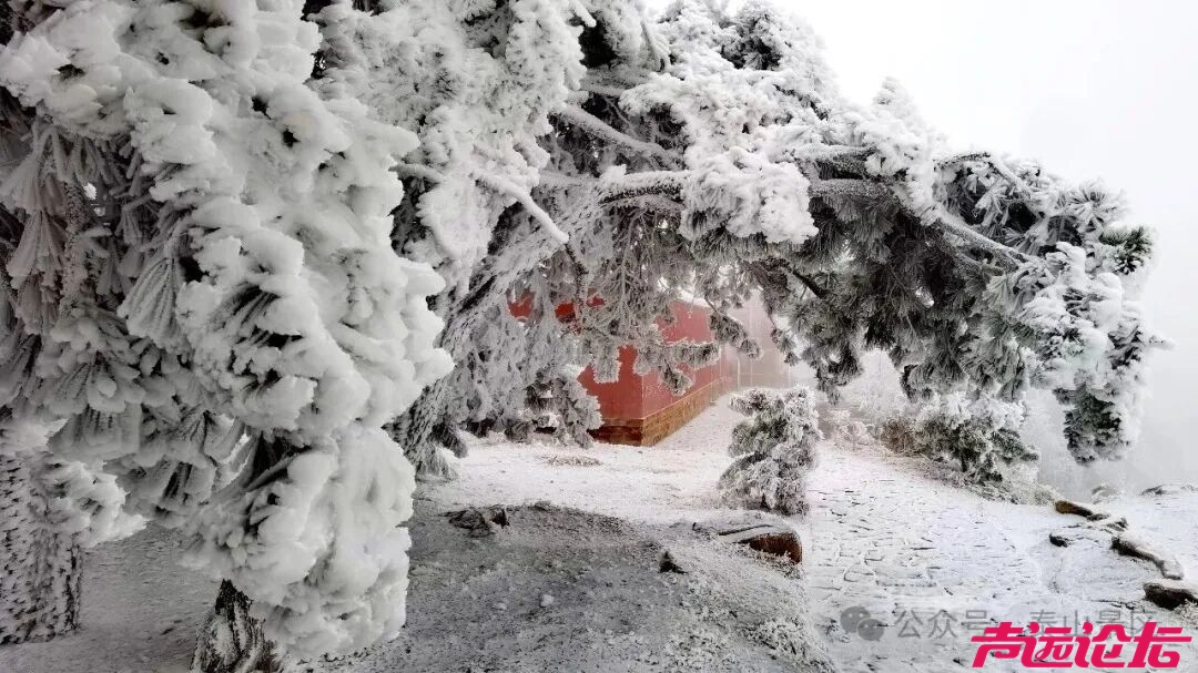 诗意满山间，泰山雾凇雪凇正当时-19.jpg