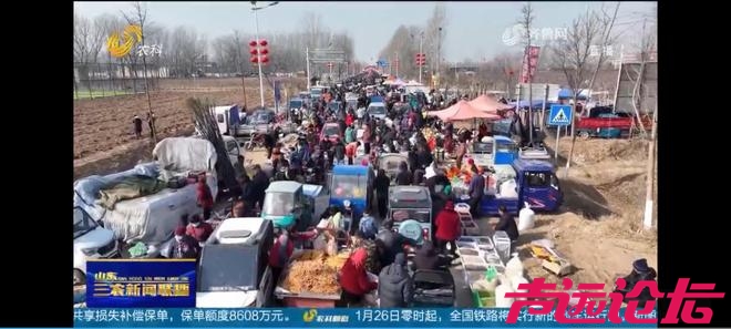 山东济宁梁山：传承千年斗羊大赛开赛 200多只斗羊同台竞逐-7.jpg