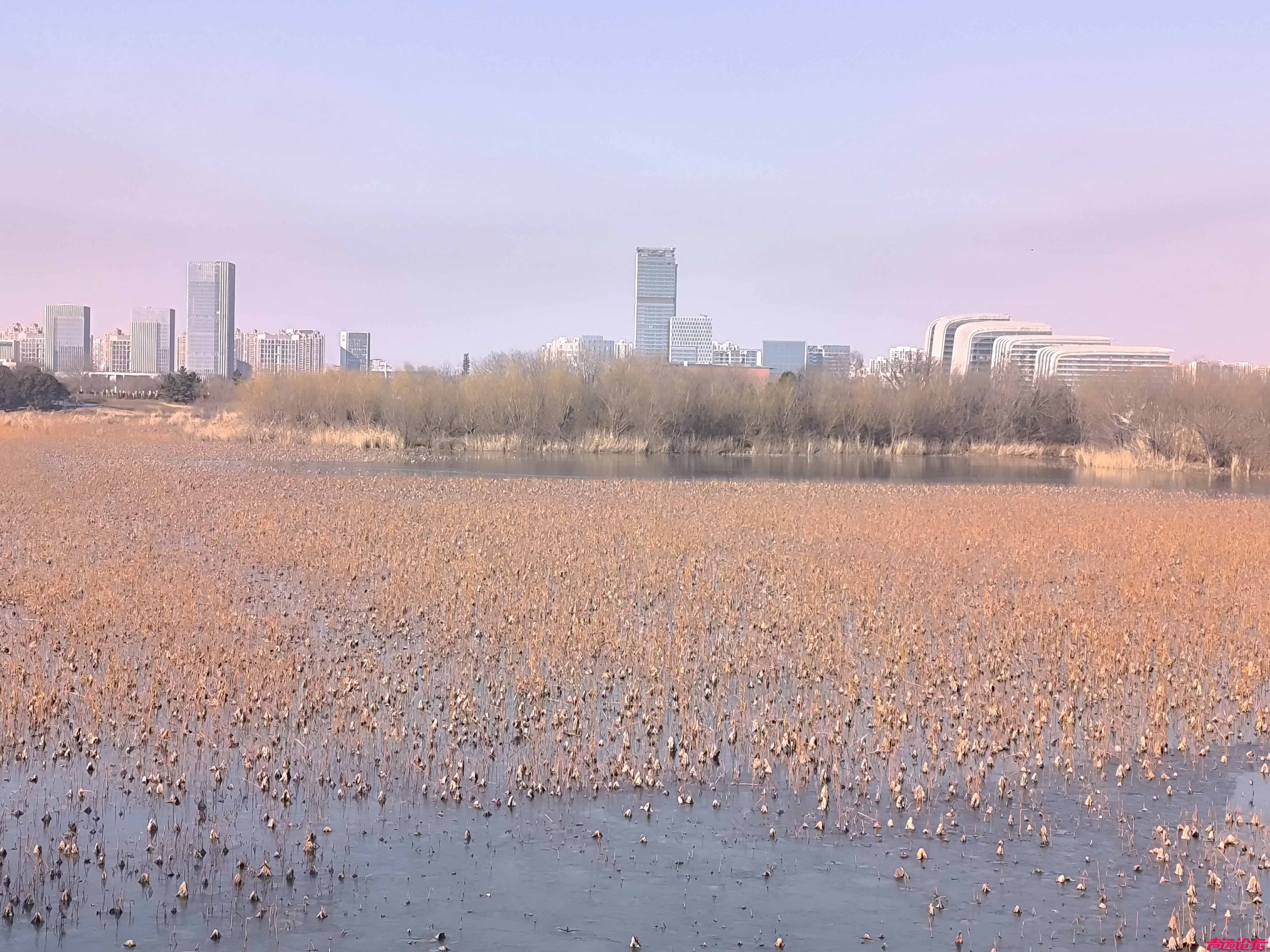 莫再提前去蹭灯，蹭灯看冰灌北风。太白湖赏灯区已经全部封闭，展区布置收尾只待24号-7.jpg